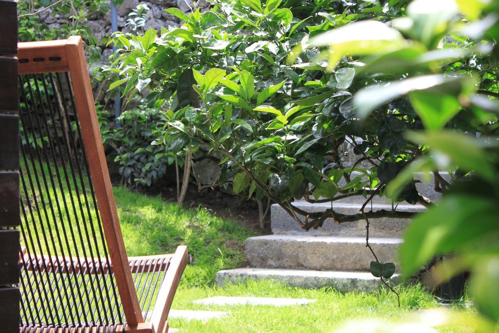 Quinta Das Rosas Villas Рибейра Гранде Стая снимка